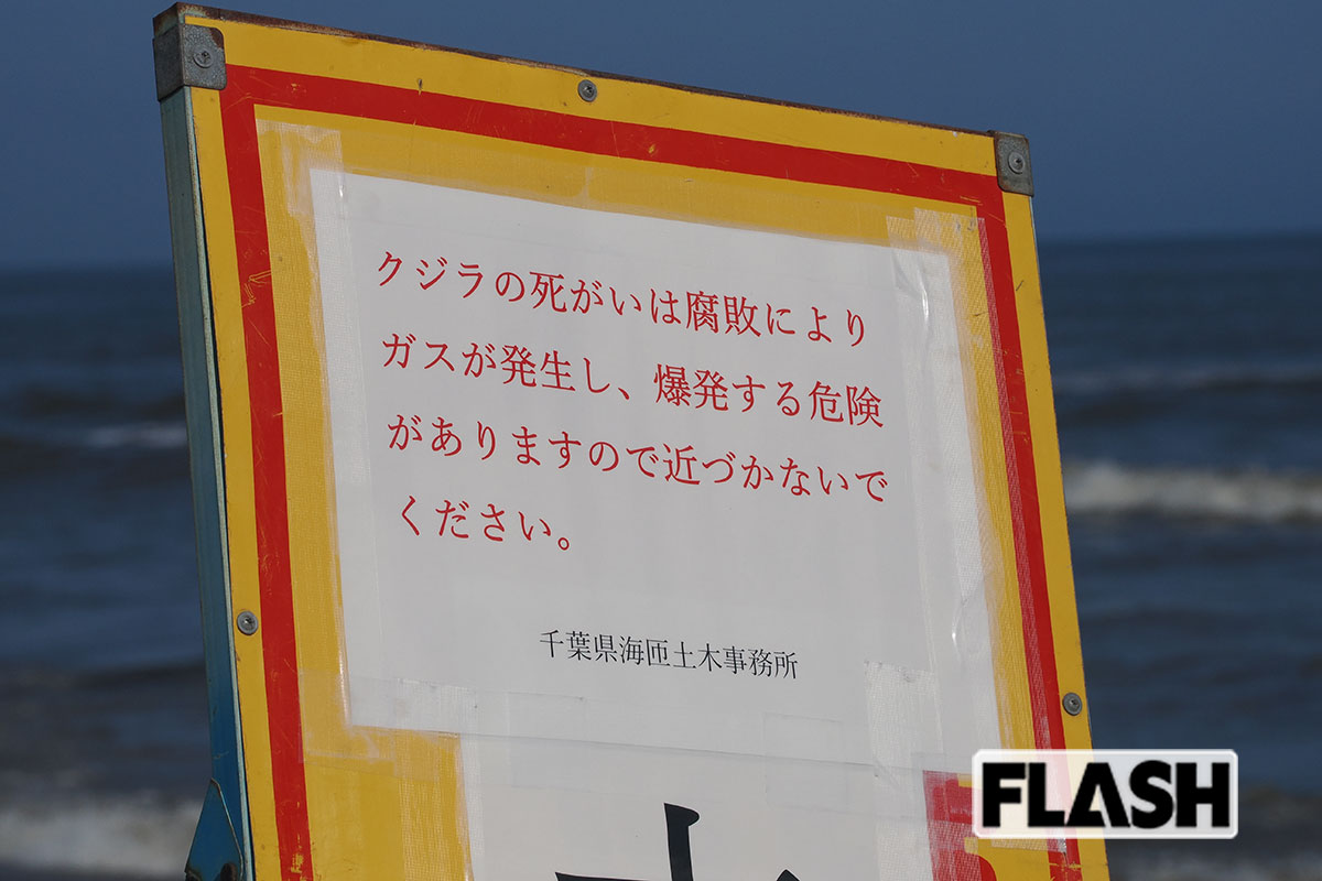 クジラの爆発についての危険を周知する県設置の看板（写真・梅基展央）