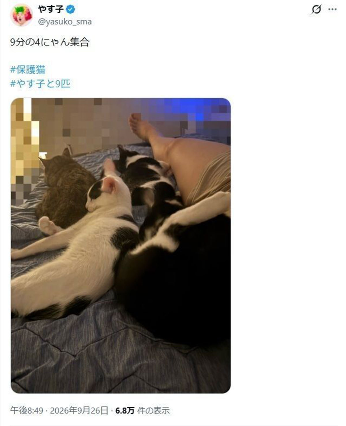 保護猫と添い寝する、やす子(写真・やす子のXより)