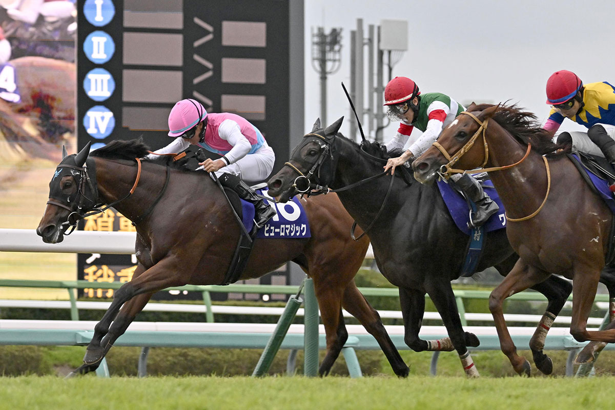 稍重の馬場でおこなわれたGIのスプリンターズS（芝1200m）も、9番人気のピューロマジックが逃げ切り、3連単は46万円超の波乱となった