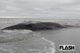 千葉の海岸で大型クジラ2頭めが漂着、専門家も「かなり珍しい」ネットでささやかれる地震・試掘との関係