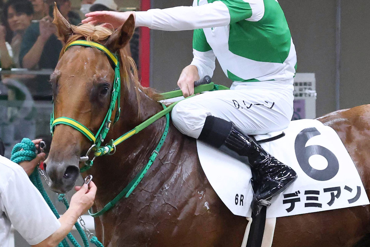 米国最強馬フライトライン産駒のデミアン、出世レースのサウジアラビアRCへ…