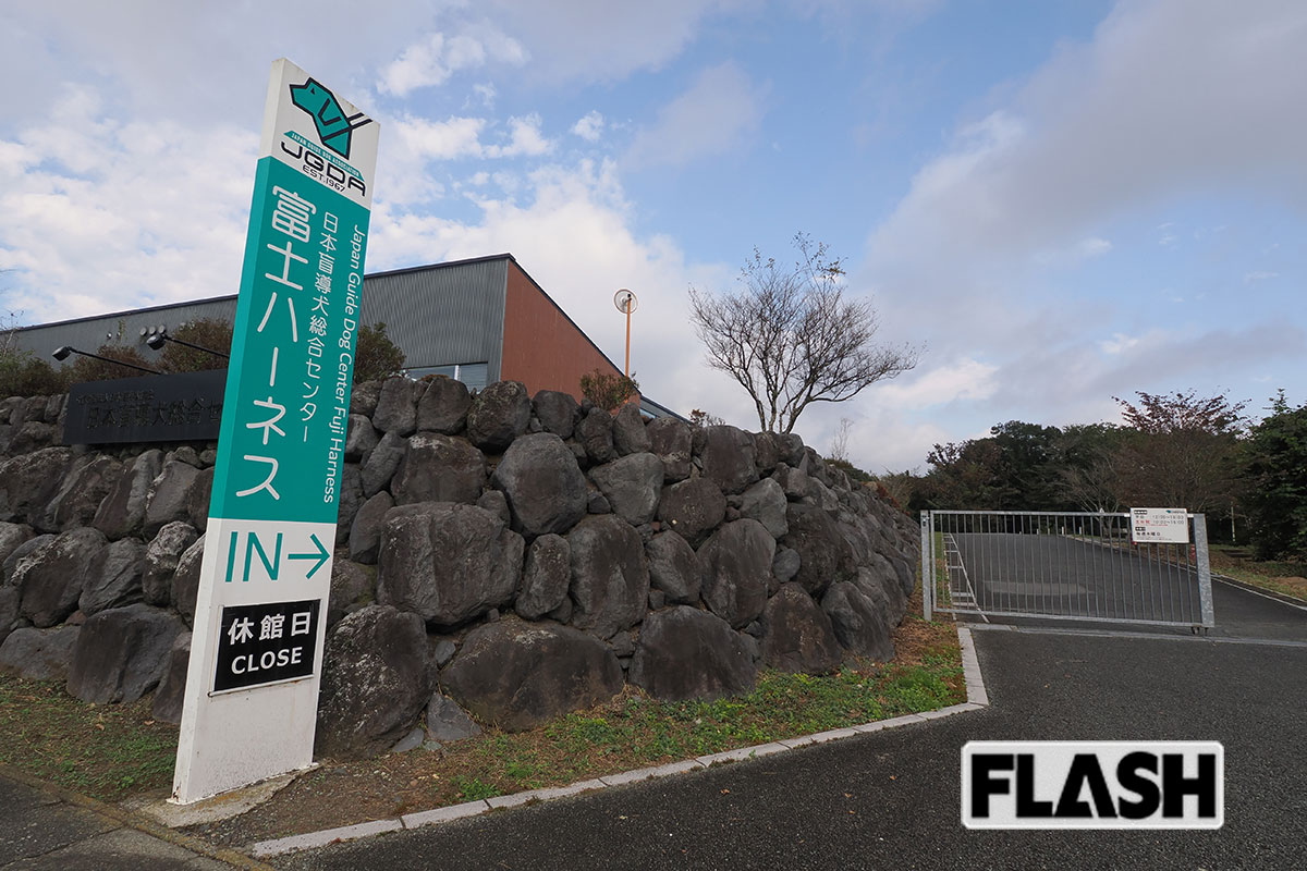 【1995年3月／地下鉄サリン事件】オウム真理教 富士宮総本部跡地にある盲導犬育成・訓練センター「富士ハーネス」